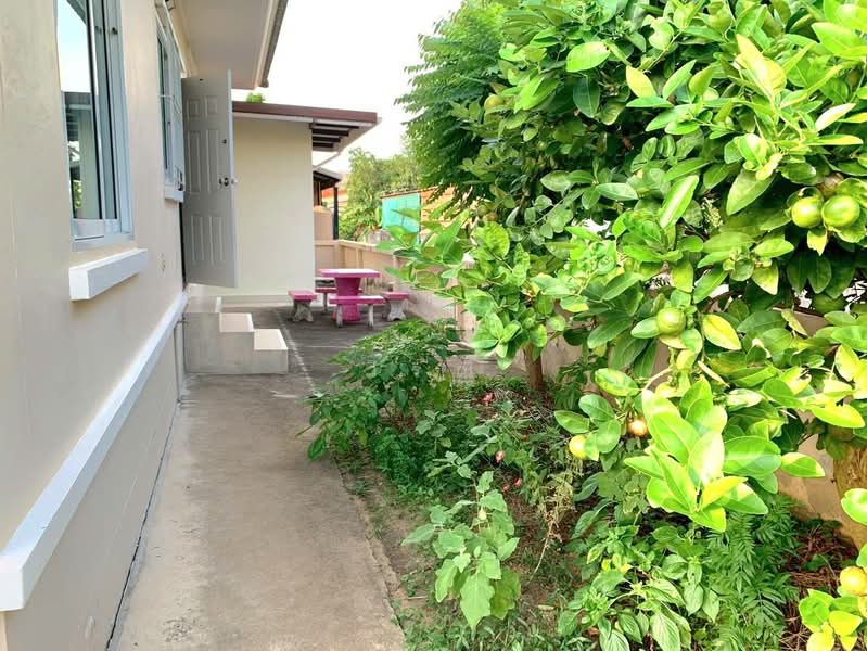 House for rent, Buri Ram, Prakhon Chai, Buri Ram, 3 Bedrooms, 130 sqm, Single Detached House For Rent, by วิรณี, 500503002 - DDproperty.com