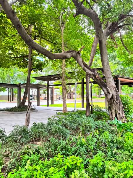 The Line Phahonyothin Park : เดอะ ไลน์ พหลโยธิน พาร์ค, กรุงเทพ, 1090 ถนนพหลโยธิน, จอมพล, จตุจักร, กรุงเทพ, 25 ตร.ม., คอนโด ขาย, โดย Poonyaporn Veerabulyarit, 500503057 - DDproperty.com