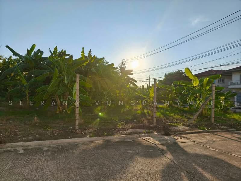 ที่ดินเปล่า สวนผัก 50 ฉิมพลี ตลิ่งชัน, Bangkok, สวนผัก, Chim Plee, Taling Chan, Bangkok, , 1,056 sqm, Land For Sale, by Seerana Vongpanyavej, 500503070 - DDproperty.com
