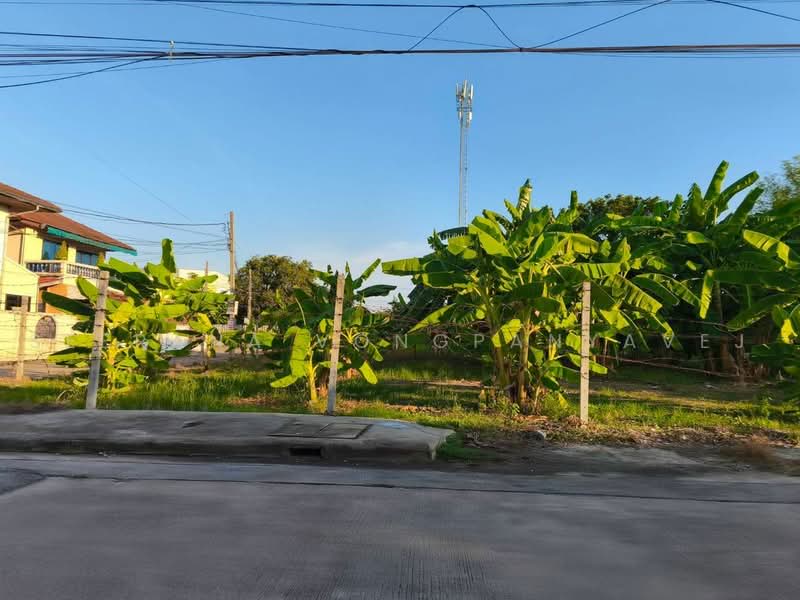 ที่ดินเปล่า สวนผัก 50 ฉิมพลี ตลิ่งชัน, Bangkok, สวนผัก, Chim Plee, Taling Chan, Bangkok, , 1,056 sqm, Land For Sale, by Seerana Vongpanyavej, 500503070 - DDproperty.com