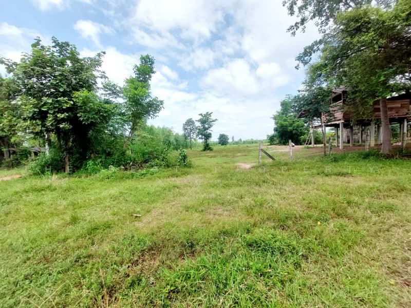 ที่ดินโพนพิสัย หนองคาย, Nong Khai, Na Nang, Phon Phisai, Nong Khai, , 38,496 sqm, Land For Sale, by The Best Property เป้า, 500503087 - DDproperty.com