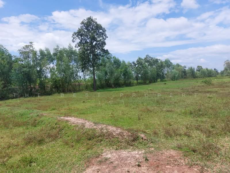 ที่ดินโพนพิสัย หนองคาย, หนองคาย, นาหนัง, โพนพิสัย, หนองคาย, 38,496 ตร.ม., ที่ดิน ขาย, โดย The Best Property เป้า, 500503087 - DDproperty.com
