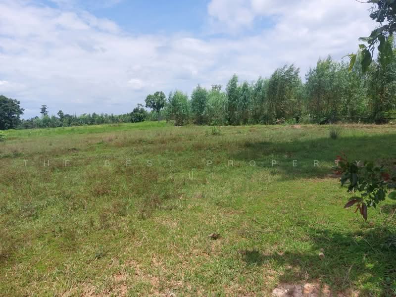 ที่ดินโพนพิสัย หนองคาย, หนองคาย, นาหนัง, โพนพิสัย, หนองคาย, 38,496 ตร.ม., ที่ดิน ขาย, โดย The Best Property เป้า, 500503087 - DDproperty.com