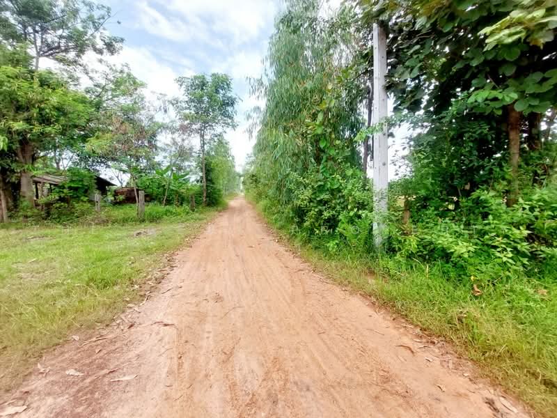 ที่ดินโพนพิสัย หนองคาย, หนองคาย, นาหนัง, โพนพิสัย, หนองคาย, 38,496 ตร.ม., ที่ดิน ขาย, โดย The Best Property เป้า, 500503087 - DDproperty.com