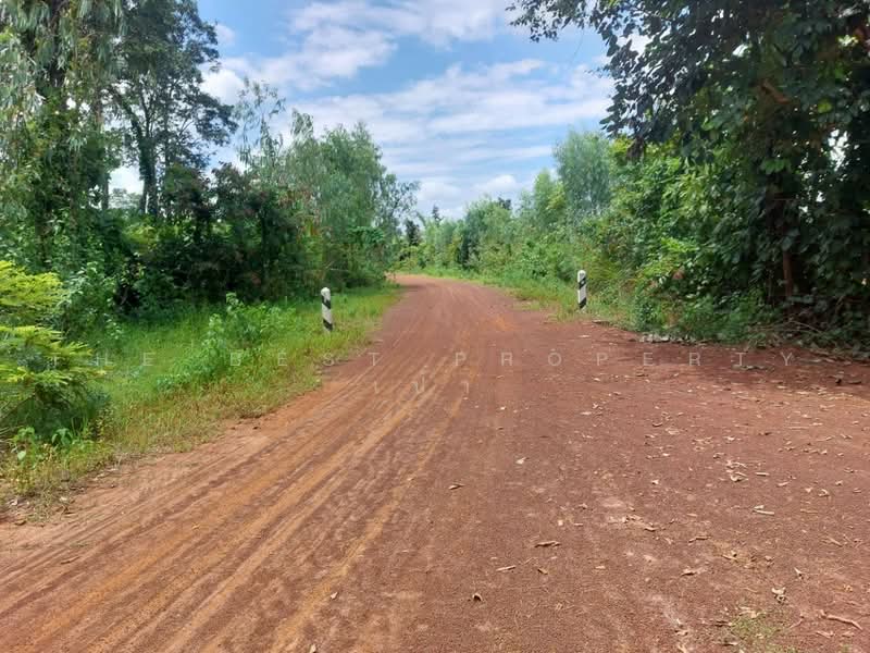 ที่ดินโพนพิสัย หนองคาย, Nong Khai, Na Nang, Phon Phisai, Nong Khai, , 38,496 sqm, Land For Sale, by The Best Property เป้า, 500503087 - DDproperty.com