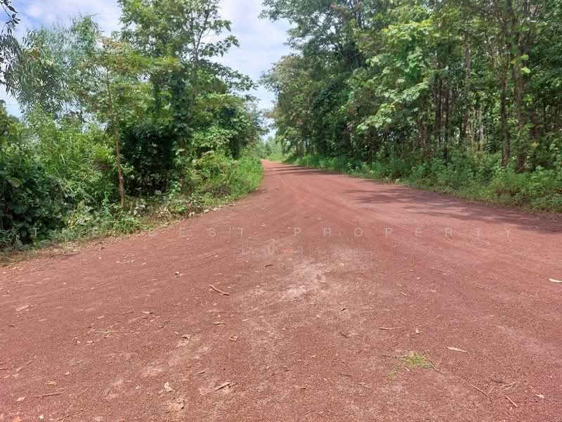 ที่ดินโพนพิสัย หนองคาย, หนองคาย, นาหนัง, โพนพิสัย, หนองคาย, 38,496 ตร.ม., ที่ดิน ขาย, โดย The Best Property เป้า, 500503087 - DDproperty.com