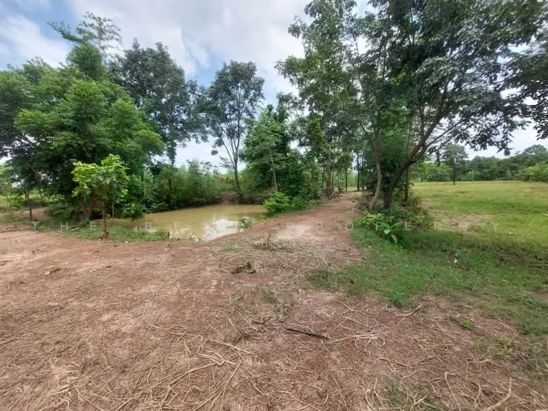 ที่ดินโพนพิสัย หนองคาย, Nong Khai, Na Nang, Phon Phisai, Nong Khai, , 38,496 sqm, Land For Sale, by The Best Property เป้า, 500503087 - DDproperty.com