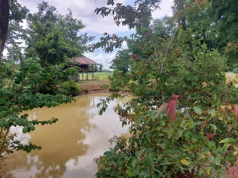 ที่ดินโพนพิสัย หนองคาย, Nong Khai, Na Nang, Phon Phisai, Nong Khai, , 38,496 sqm, Land For Sale, by The Best Property เป้า, 500503087 - DDproperty.com