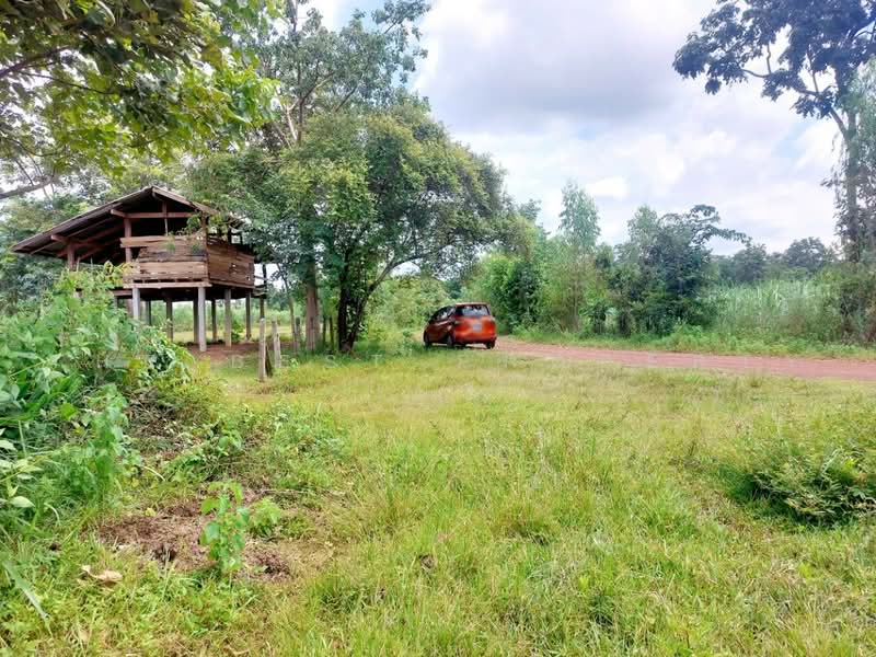 ที่ดินโพนพิสัย หนองคาย, Nong Khai, Na Nang, Phon Phisai, Nong Khai, , 38,496 sqm, Land For Sale, by The Best Property เป้า, 500503087 - DDproperty.com