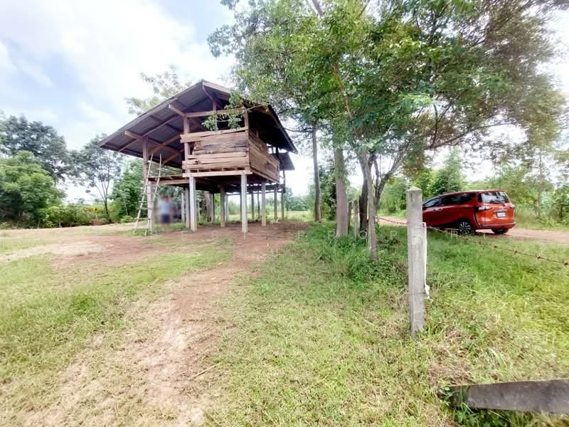 ที่ดินโพนพิสัย หนองคาย, Nong Khai, Na Nang, Phon Phisai, Nong Khai, , 38,496 sqm, Land For Sale, by The Best Property เป้า, 500503087 - DDproperty.com