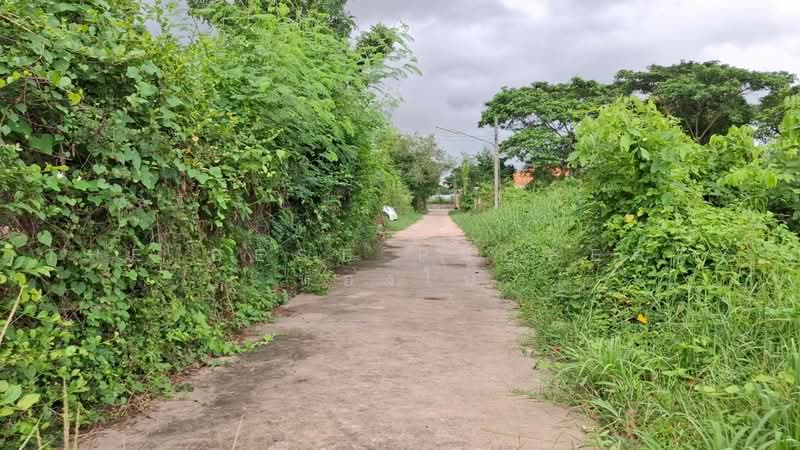 ที่ดินรอบเมือง ร้อยเอ็ด, ร้อยเอ็ด, รอบเมือง, เมืองร้อยเอ็ด, ร้อยเอ็ด, 798 ตร.ม., ที่ดิน ขาย, โดย The Best Property ทองใบ, 500503092 - DDproperty.com