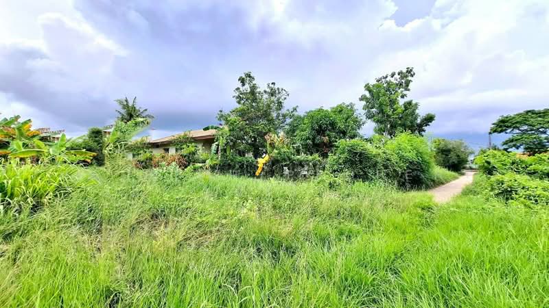 ที่ดินรอบเมือง ร้อยเอ็ด, ร้อยเอ็ด, รอบเมือง, เมืองร้อยเอ็ด, ร้อยเอ็ด, 798 ตร.ม., ที่ดิน ขาย, โดย The Best Property ทองใบ, 500503092 - DDproperty.com