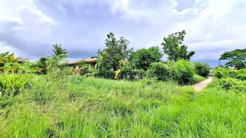 ที่ดินรอบเมือง ร้อยเอ็ด, ร้อยเอ็ด, รอบเมือง, เมืองร้อยเอ็ด, ร้อยเอ็ด, 798 ตร.ม., ที่ดิน ขาย, โดย The Best Property ทองใบ, 500503092 - DDproperty.com