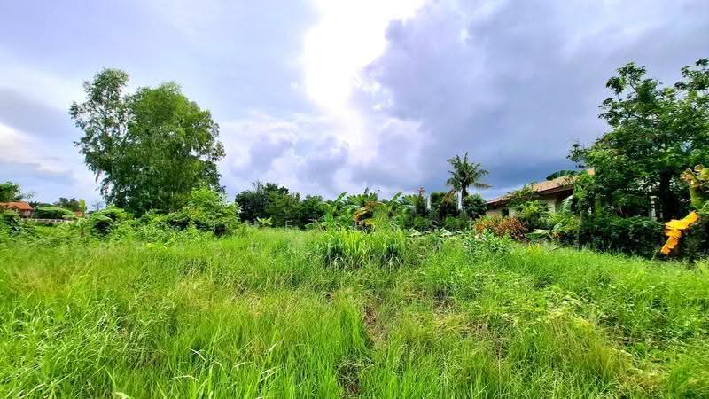ที่ดินรอบเมือง ร้อยเอ็ด, Roi Et, Rop Muang, Muang Roi Et, Roi Et, , 798 sqm, Land For Sale, by The Best Property ทองใบ, 500503092 - DDproperty.com