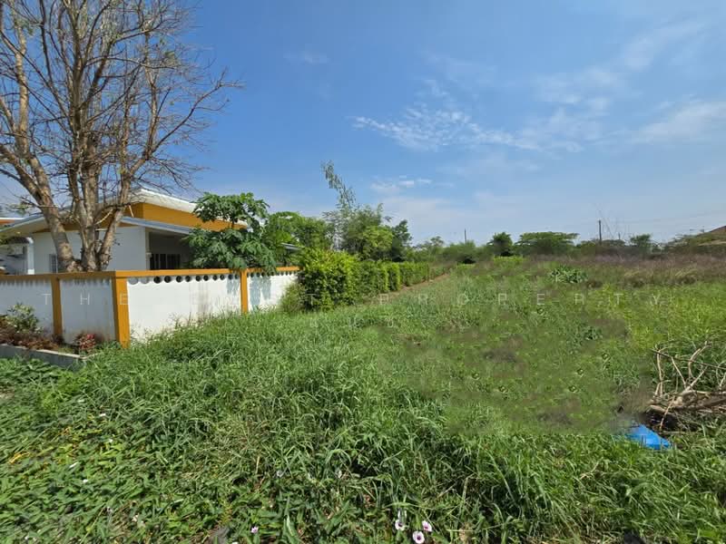 ทองกวาว สันป่าตอง, เชียงใหม่, สันกลาง, สันป่าตอง, เชียงใหม่, 440 ตร.ม., ที่ดิน ขาย, โดย The Best Property แนช, 500503097 - DDproperty.com