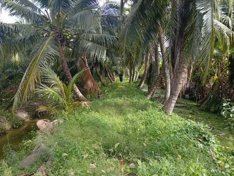 ที่ดินสามพราน นครปฐม, Nakhon Pathom, Talat Chinda, Sam Phran, Nakhon Pathom, , 9,600 sqm, Land For Sale, by The Best Property ดรีม, 500503152 - DDproperty.com