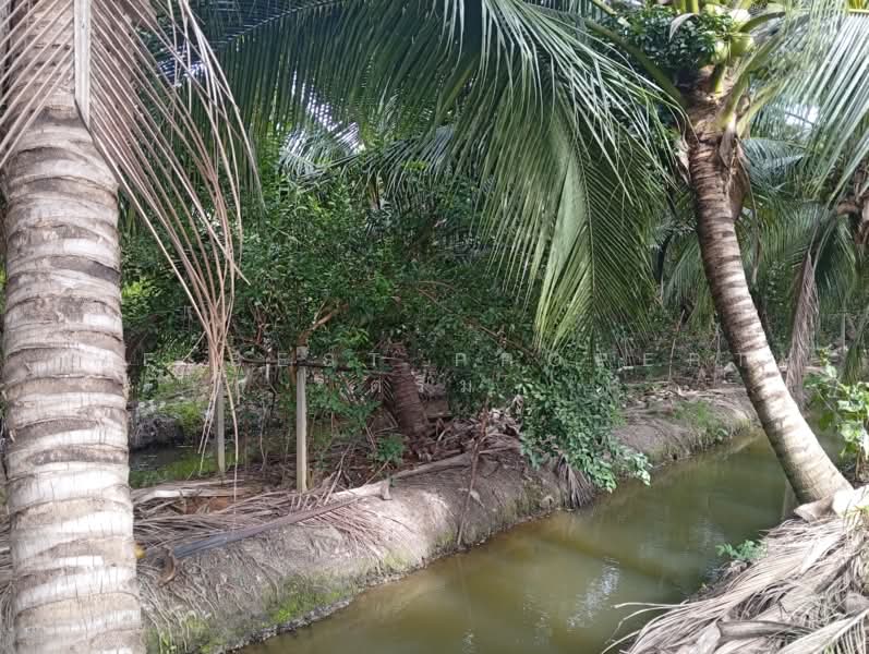 ที่ดินสามพราน นครปฐม, Nakhon Pathom, Talat Chinda, Sam Phran, Nakhon Pathom, , 9,600 sqm, Land For Sale, by The Best Property ดรีม, 500503152 - DDproperty.com