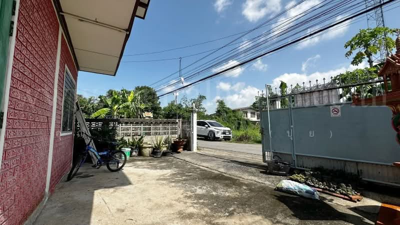 บ้านเดี่ยว พร้อมที่ดิน 93 ตร.วา พหลโยธิน 52 ราคาถูก ทำเลดี, กรุงเทพ, พหลโยธิน 52, ท่าแร้ง, บางเขน, กรุงเทพ, 98 ตร.ม., บ้านเดี่ยว ขาย, โดย คุณ ภรณ์ทิพย์ (ปุ๋ย), 500503363 - DDproperty.com