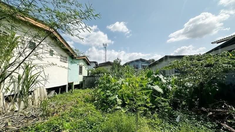 บ้านเดี่ยว พร้อมที่ดิน 93 ตร.วา พหลโยธิน 52 ราคาถูก ทำเลดี, กรุงเทพ, พหลโยธิน 52, ท่าแร้ง, บางเขน, กรุงเทพ, 98 ตร.ม., บ้านเดี่ยว ขาย, โดย คุณ ภรณ์ทิพย์ (ปุ๋ย), 500503363 - DDproperty.com