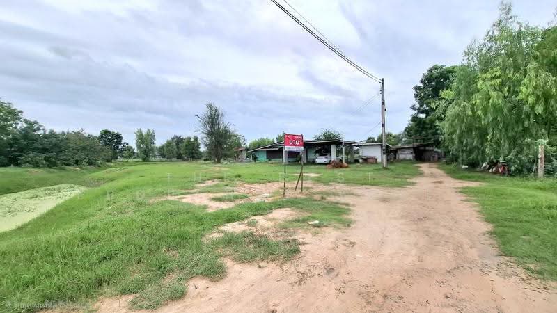 ที่ดินขอนแก่น ร้อยเอ็ด, Roi Et, Khon Kan, Muang Roi Et, Roi Et, , 2,040 sqm, Land For Sale, by The Best Property ทองใบ, 500503382 - DDproperty.com