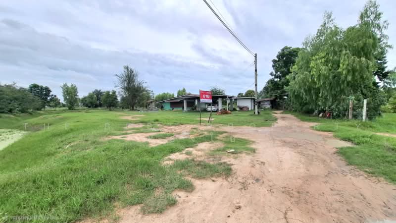 ที่ดินขอนแก่น ร้อยเอ็ด, Roi Et, Khon Kan, Muang Roi Et, Roi Et, , 2,040 sqm, Land For Sale, by The Best Property ทองใบ, 500503382 - DDproperty.com