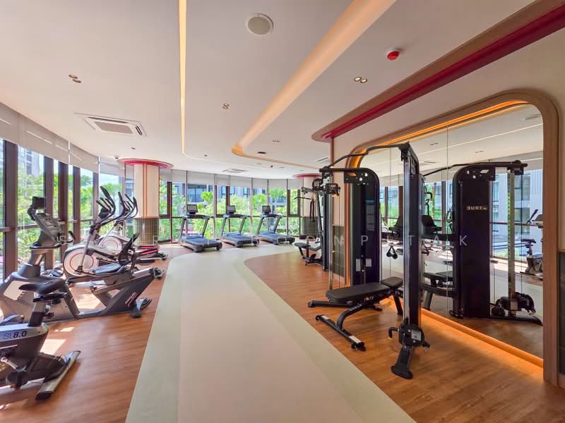 THE Base Cherngtalay, Phuket, Choeng Thale, Thalang, Phuket, 1 Bedroom, 35 sqm, Condo For Rent, by Sirirat Boonpitak , 500503614 - DDproperty.com