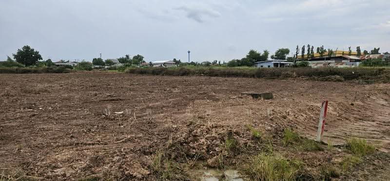 Land for Sale in Lam Luk Ka Subdivision for Sale 1-3 Rai, Near Phueng Suk Market and Bueng Kham Phro, Pathum Thani, Bung Kham Proi, Lam Luk Ka, Pathum Thani, , 1,600 sqm, Land For Sale, by อนันต์ อัมรินทร์, 500503721 - DDproperty.com