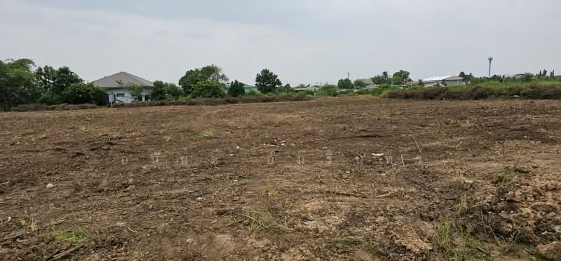 Land for Sale in Lam Luk Ka Subdivision for Sale 1-3 Rai, Near Phueng Suk Market and Bueng Kham Phro, Pathum Thani, Bung Kham Proi, Lam Luk Ka, Pathum Thani, , 1,600 sqm, Land For Sale, by อนันต์ อัมรินทร์, 500503721 - DDproperty.com