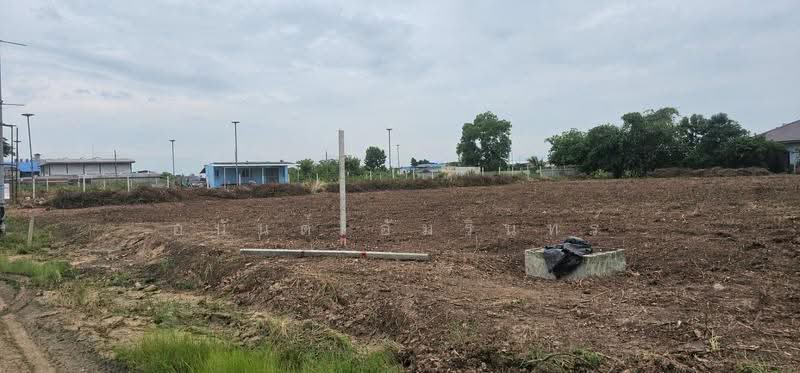 Land for Sale in Lam Luk Ka Subdivision for Sale 1-3 Rai, Near Phueng Suk Market and Bueng Kham Phro, Pathum Thani, Bung Kham Proi, Lam Luk Ka, Pathum Thani, , 1,600 sqm, Land For Sale, by อนันต์ อัมรินทร์, 500503721 - DDproperty.com