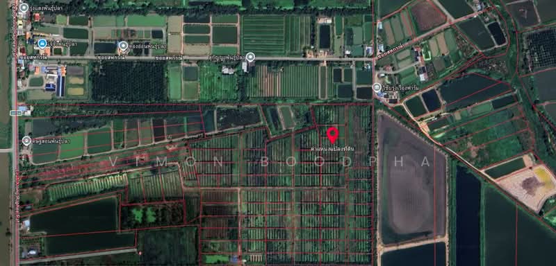 ที่ดินเปล่า หนองเสือ, ปทุมธานี, ศาลาครุ, หนองเสือ, ปทุมธานี, 3,200 ตร.ม., ที่ดิน ขาย, โดย Vimon Boodpha, 500503789 - DDproperty.com