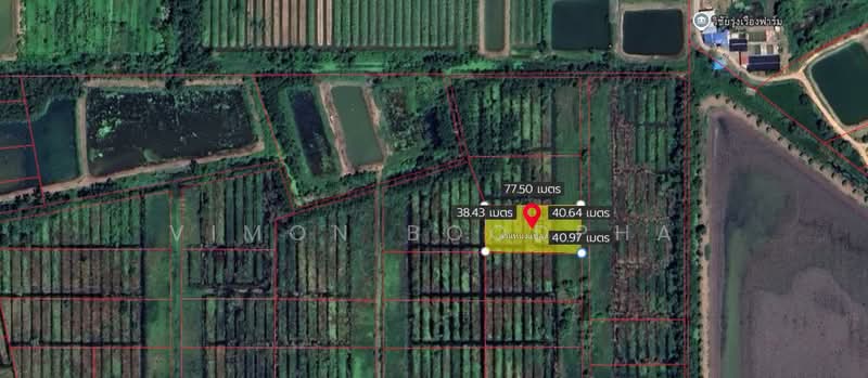 ที่ดินเปล่า หนองเสือ, ปทุมธานี, ศาลาครุ, หนองเสือ, ปทุมธานี, 3,200 ตร.ม., ที่ดิน ขาย, โดย Vimon Boodpha, 500503789 - DDproperty.com
