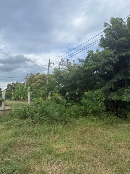 ที่ดินพร้อมกิจการเวียงยอง ลำพูน, Lamphun, Wiang Yong, Muang Lamphun, Lamphun, , 9,221 sqm, Land For Sale, by The Best Property รัตน์, 500503808 - DDproperty.com