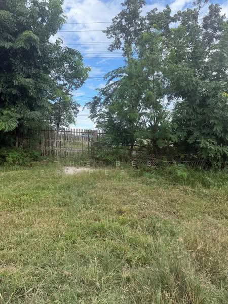 ที่ดินพร้อมกิจการเวียงยอง ลำพูน, Lamphun, Wiang Yong, Muang Lamphun, Lamphun, , 9,221 sqm, Land For Sale, by The Best Property รัตน์, 500503808 - DDproperty.com