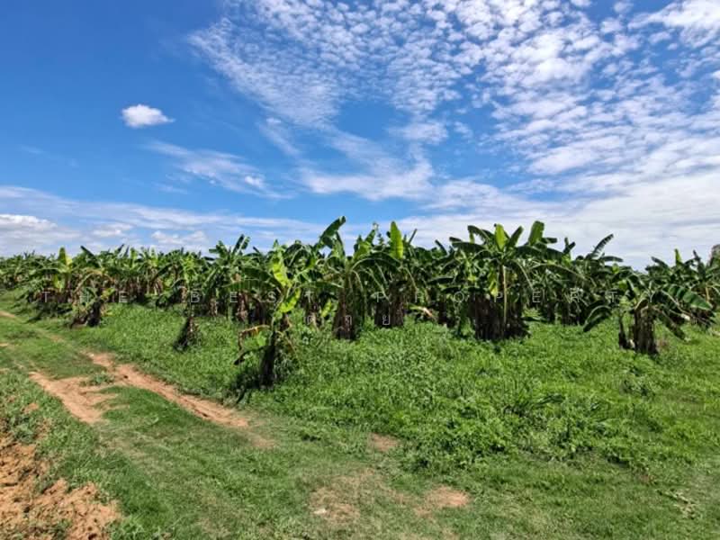 ที่ดินชะอำ เพชรบุรี, Phetchaburi, Rai Mai Patthana, Cha-Am, Phetchaburi, , 35,628 sqm, Land For Sale, by The Best Property ต่าย, 500503819 - DDproperty.com