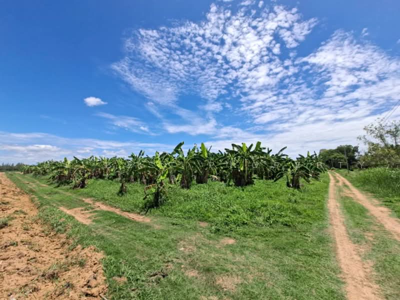 ที่ดินชะอำ เพชรบุรี, Phetchaburi, Rai Mai Patthana, Cha-Am, Phetchaburi, , 35,628 sqm, Land For Sale, by The Best Property ต่าย, 500503819 - DDproperty.com