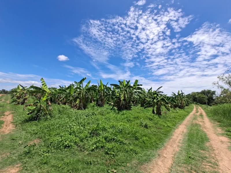 ที่ดินชะอำ เพชรบุรี, Phetchaburi, Rai Mai Patthana, Cha-Am, Phetchaburi, , 35,628 sqm, Land For Sale, by The Best Property ต่าย, 500503819 - DDproperty.com