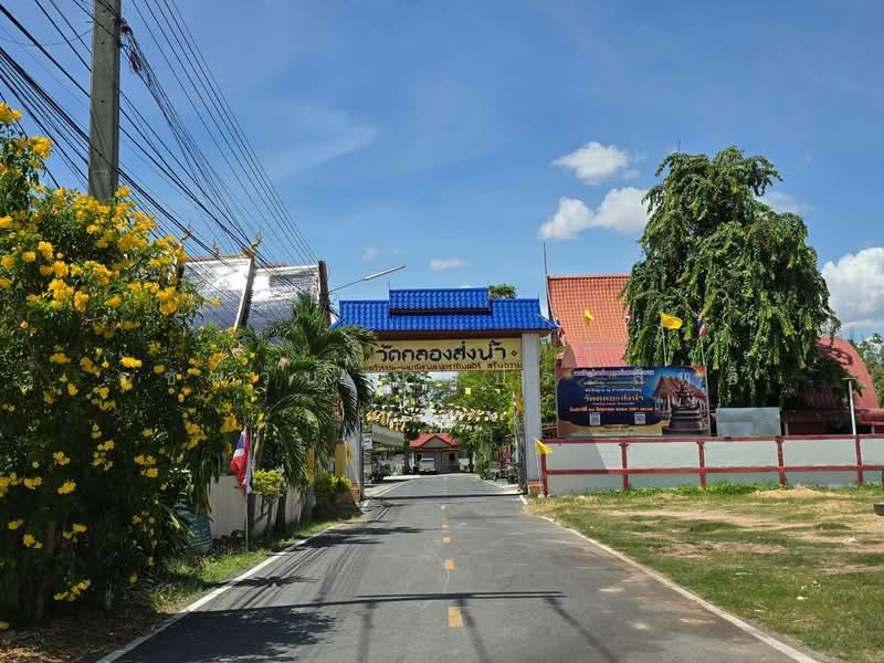 ขาย : ที่ดินเปล่า ทำเลศักยภาพ ใกล้แหล่งอำนวยความสะดวกครบครัน,ตลาด,ชุมชน และการเดินทางสะดวก, Nakhon Ratchasima, Suranari, Muang Nakhon Ratchasima, Nakhon Ratchasima, , 800 sqm, Land For Sale, by รชตวัน บุญประสิทธิ์, 500503832 - DDproperty.com