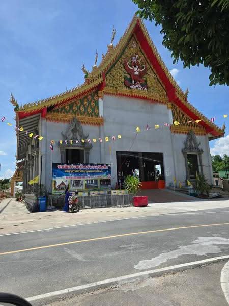 ขาย : ที่ดินเปล่า ทำเลศักยภาพ ใกล้แหล่งอำนวยความสะดวกครบครัน,ตลาด,ชุมชน และการเดินทางสะดวก, Nakhon Ratchasima, Suranari, Muang Nakhon Ratchasima, Nakhon Ratchasima, , 800 sqm, Land For Sale, by รชตวัน บุญประสิทธิ์, 500503832 - DDproperty.com