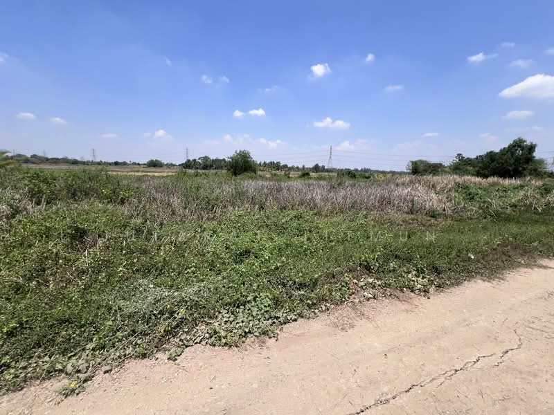 ที่ดิน คลองสิบสอง หนองจอก, Bangkok, Khlong Sibsong, Nong Chok, Bangkok, , 1,600 sqm, Land For Sale, by Jutarat Jitmun, 500503879 - DDproperty.com