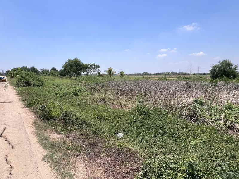 ที่ดิน คลองสิบสอง หนองจอก, กรุงเทพ, คลองสิบสอง, หนองจอก, กรุงเทพ, 1,600 ตร.ม., ที่ดิน ขาย, โดย Jutarat Jitmun, 500503879 - DDproperty.com