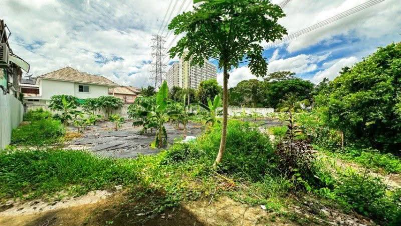 Glass Garden Scales 2, Nonthaburi, 6/183 Tiwanon-Parkkred 12 Alley, Pak Kret, Nonthaburi, , 228 sqm, Land For Sale, by คุณ กฤติน ( มาร์ค ), 500503903 - DDproperty.com