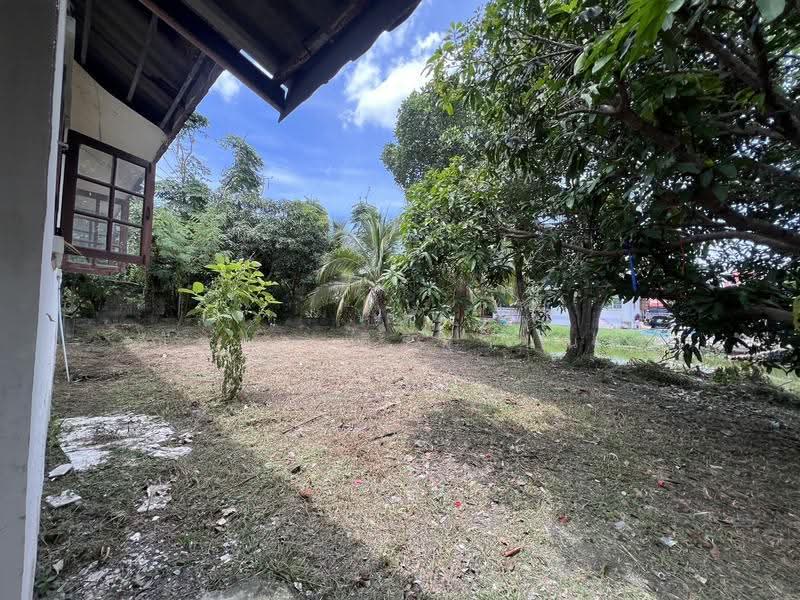 บ้านสวนแสนสุข คลอง 29, นครนายก, บ้านสวนแสนสุข คลอง 29, บางปลากด, องครักษ์, นครนายก, 85 ตร.ม., บ้านเดี่ยว ขาย, โดย ณัฐยา ศิริฐานนท์, 500503928 - DDproperty.com