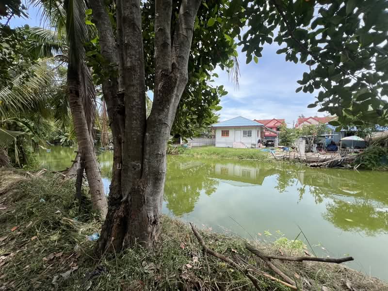 บ้านสวนแสนสุข คลอง 29, Nakhon Nayok, บ้านสวนแสนสุข คลอง 29, Bang Pla Kot, Ongkharak, Nakhon Nayok, 3 Bedrooms, 85 sqm, Single Detached House For Sale, by ณัฐยา ศิริฐานนท์, 500503928 - DDproperty.com