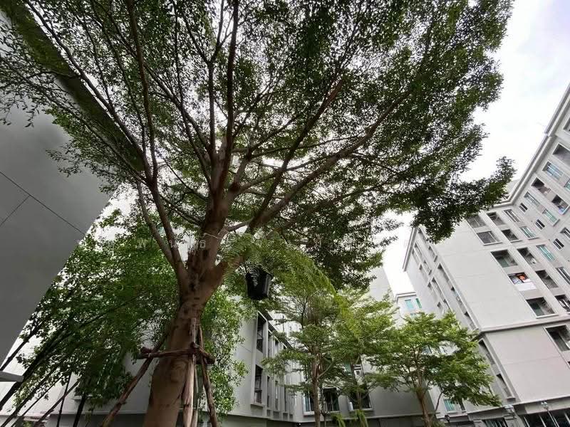 Chapter One The Campus Kaset, Bangkok, 2033 Phaholyothin Road, Lat Yao, Chatuchak, Bangkok, 1 Bedroom, 29 sqm, Condo For Sale, by Narupon Jongmanwattana, 500503960 - DDproperty.com