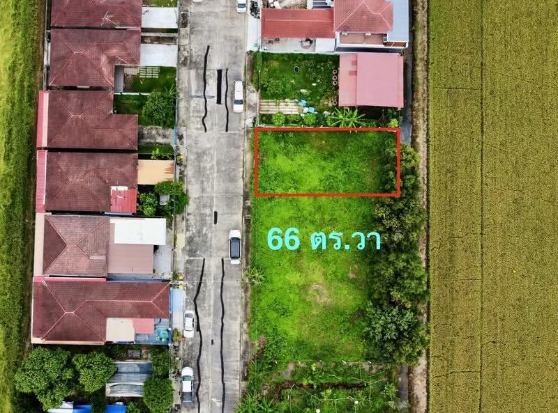 Theptarin Klong 11 : เทพธารินทร์ คลอง 11, ปทุมธานี, ซอย หมู่บ้านเทพธารินทร์, บึงน้ำรักษ์, ธัญบุรี, ปทุมธานี, 264 ตร.ม., ที่ดิน ขาย, โดย วสันต์ วะสะติ, 500503974 - DDproperty.com