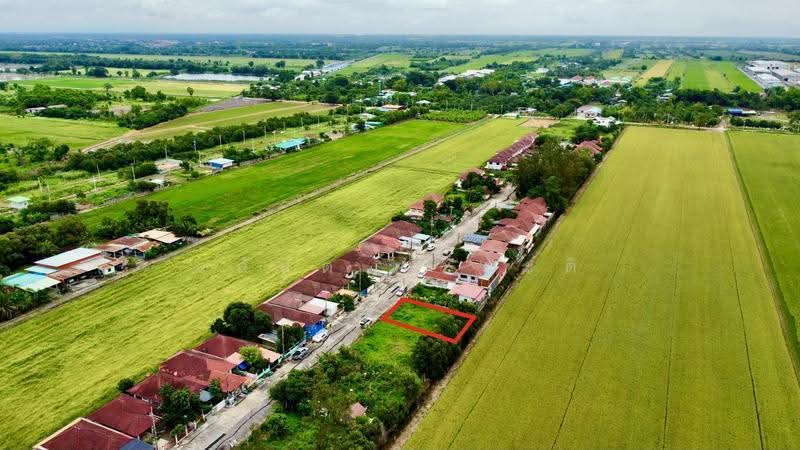 Theptarin Klong 11, Pathum Thani, Soi Theptarin Village, Bung Nam Rak, Thanyaburi, Pathum Thani, , 264 sqm, Land For Sale, by Wasan Wasati, 500503974 - DDproperty.com