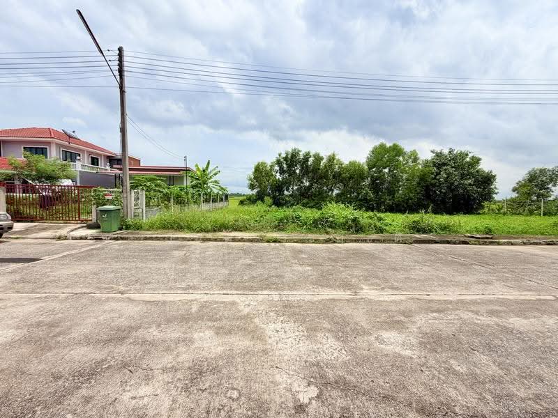 Theptarin Klong 11, Pathum Thani, Soi Theptarin Village, Bung Nam Rak, Thanyaburi, Pathum Thani, , 264 sqm, Land For Sale, by Wasan Wasati, 500503974 - DDproperty.com