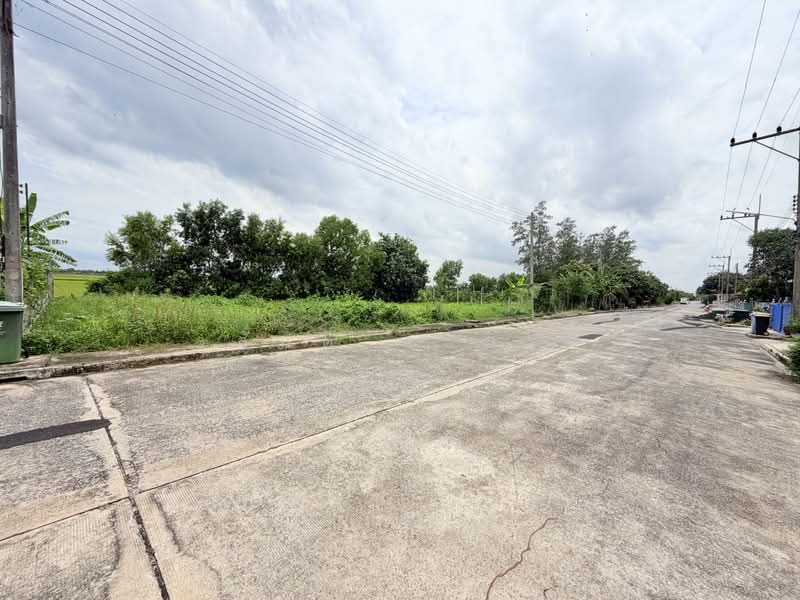 Theptarin Klong 11, Pathum Thani, Soi Theptarin Village, Bung Nam Rak, Thanyaburi, Pathum Thani, , 264 sqm, Land For Sale, by Wasan Wasati, 500503974 - DDproperty.com