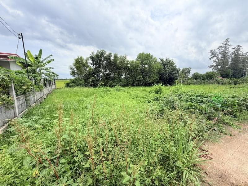 Theptarin Klong 11, Pathum Thani, Soi Theptarin Village, Bung Nam Rak, Thanyaburi, Pathum Thani, , 264 sqm, Land For Sale, by Wasan Wasati, 500503974 - DDproperty.com