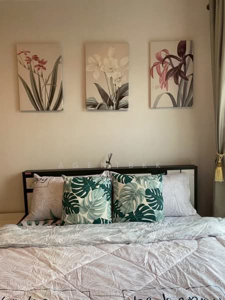 Plum Condo Ram 60 Interchange, Bangkok, Soi Ramkhamhaeng 60, Hua Mak, Bang Kapi, Bangkok, 1 Bedroom, 26 sqm, Condo For Rent, by Agentbkk, 500504010 - DDproperty.com